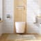 Icera Vista Wall Hung Toilet