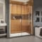 DreamLine Elegance-LS Shower Door