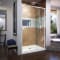 DreamLine Flex Shower Door and Base