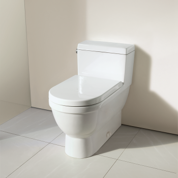 Duravit 2120010001 Starck 3 One Piece Toilet Qualitybath Com - How To Fix A Loose Duravit Toilet Seat