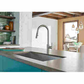 Danze D454058 Parma Single Handle Pull Down Kitchen Faucet