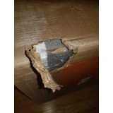 customer review image 1