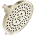 Brizo Invari Showerhead