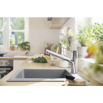 Hansgrohe 74800 Zesis Kitchen Faucet, 2-Spray Pull-Out ...