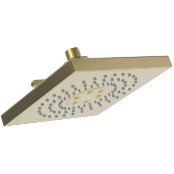 Newport Brass shower heads image-2