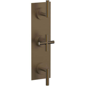 Phylrich shower controls image-2