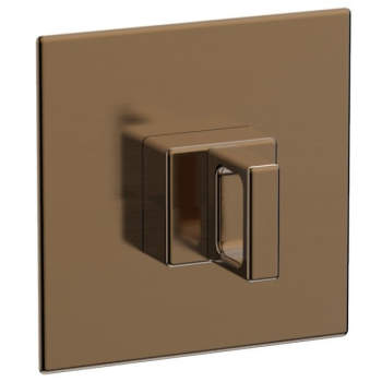Phylrich shower controls image-2