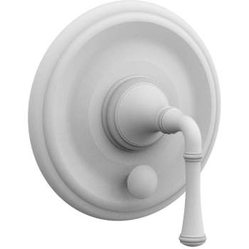 Phylrich shower controls image-10