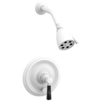 Phylrich shower controls image-10
