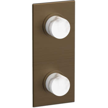 Phylrich shower controls image-20