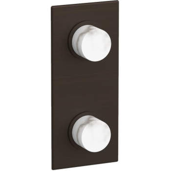 Phylrich shower controls image-10