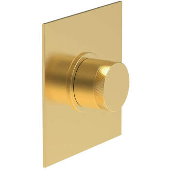 Phylrich shower controls image-16