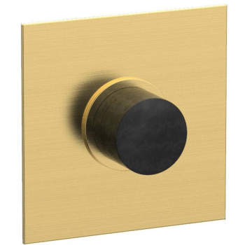 Phylrich shower controls image-16