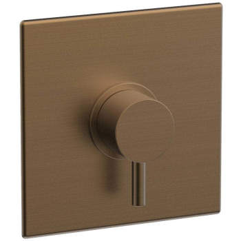 Phylrich shower controls image-2