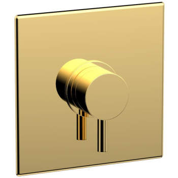 Phylrich shower controls image-16