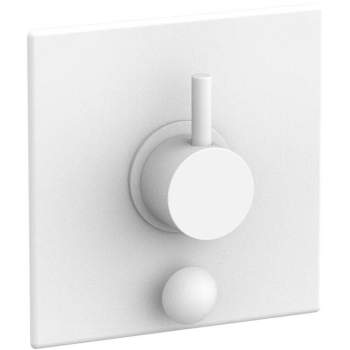 Phylrich shower controls image-10