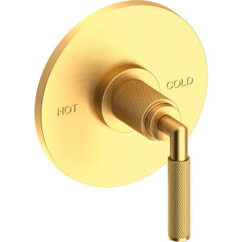 Newport Brass shower controls image-16