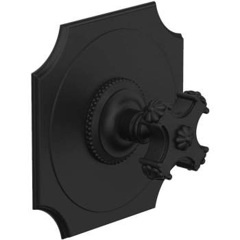 Phylrich shower controls image-12