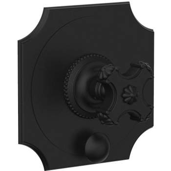 Phylrich shower controls image-12