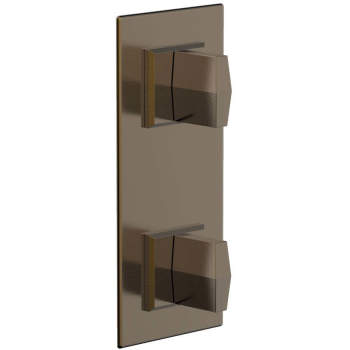 Phylrich shower controls image-10