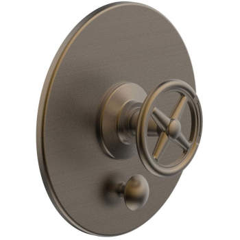 Phylrich shower controls image-2
