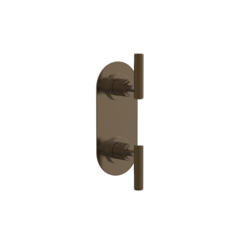 Phylrich shower controls image-2