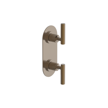 Phylrich shower controls image-2