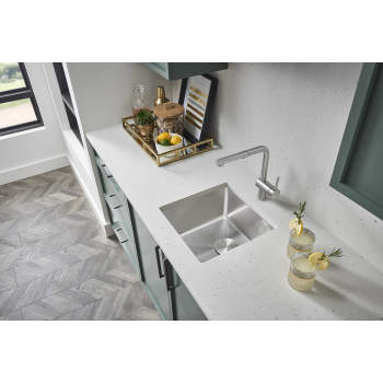 Blanco 526369 Linus Pullout Kitchen Faucet With Dual Spray