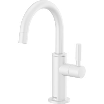 Brizo 61320LF-C-SS Beverage Faucet | QualityBath.com