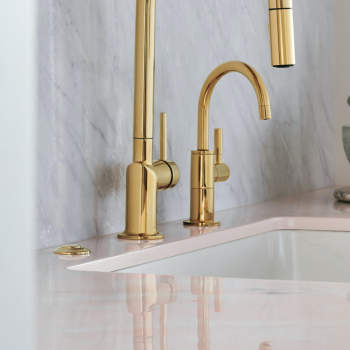 Brizo 69080-PN Air Switch With Dual Outlet | QualityBath.com