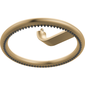 Brizo shower heads image-8
