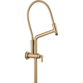 Brizo 81376 image-11