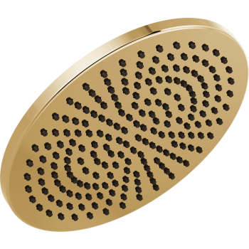 Brizo 81392-GL Raincan Showerhead | QualityBath.com