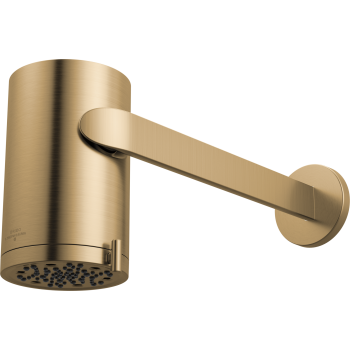 Brizo shower heads image-4