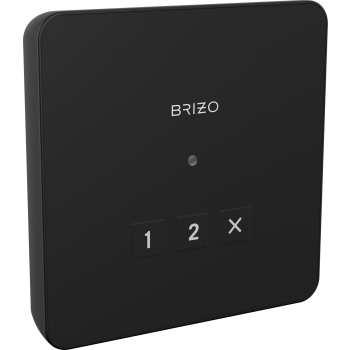Brizo 8CN-220L image-3