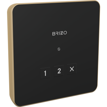 Brizo steam showers image-6