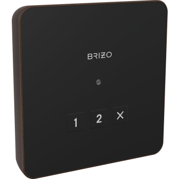 Brizo steam showers image-10