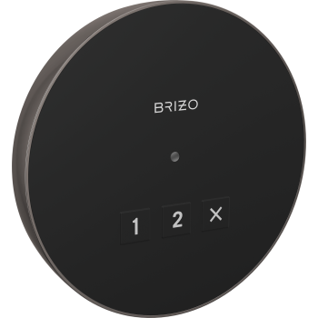 Brizo steam showers image-4