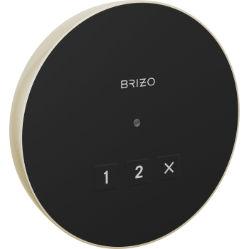 Brizo 8CN-220R image-11