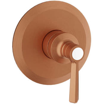 Baril shower controls image-16