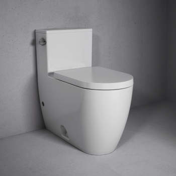Rimless toilet hot sale