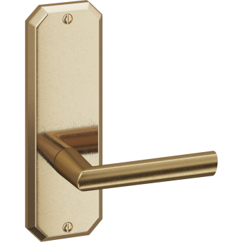 Ashley Norton door levers image-4