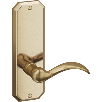 Ashley Norton door levers image-4