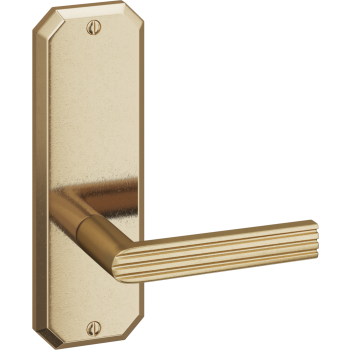Ashley Norton door levers image-4