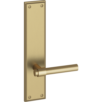 Ashley Norton door levers image-6