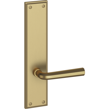 Ashley Norton door levers image-6