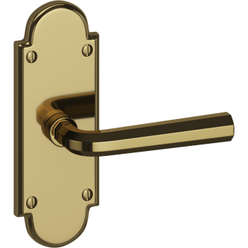 Ashley Norton door levers image-8