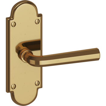 Ashley Norton door levers image-6