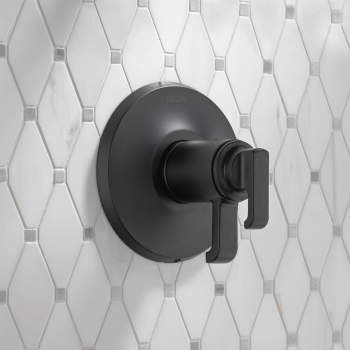 Delta shower controls image-2
