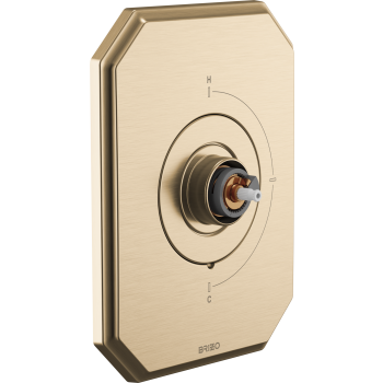 Brizo T66T065 image-17